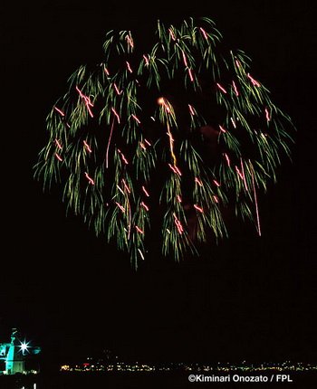 floral shell of shells_moon over every rice field